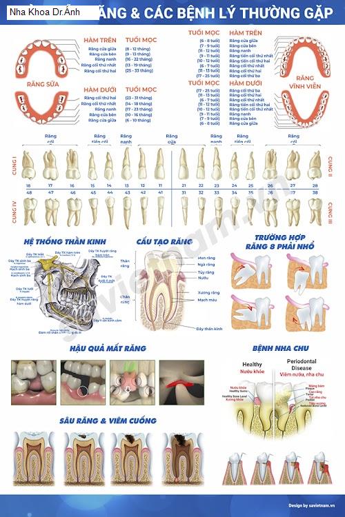 Yến Sào Thái Nguyên - Gợi ý 17 Nha Khoa tốt nhất khu vực Huyện Đồng Hỷ