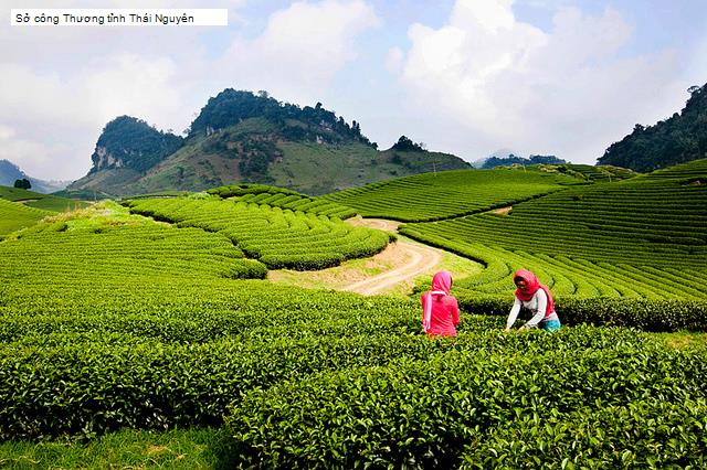 Sở công Thương tỉnh Thái Nguyên
