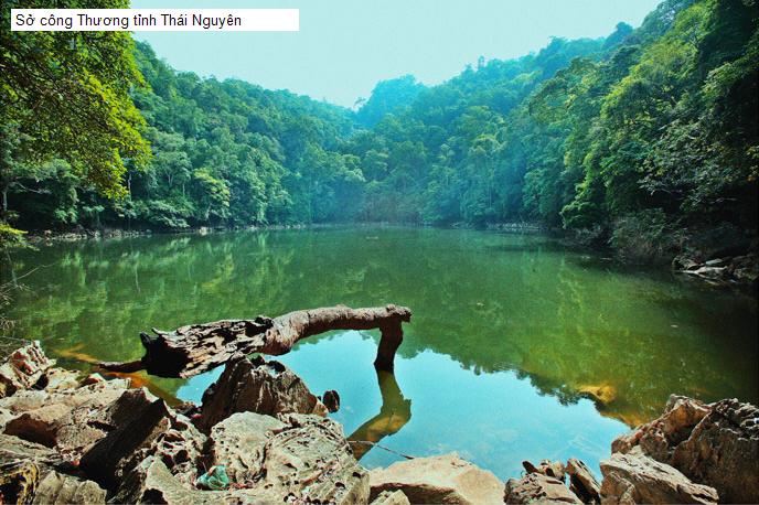Sở công Thương tỉnh Thái Nguyên