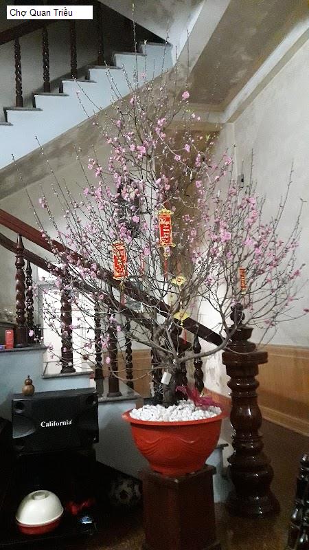 Chợ Quan Triều