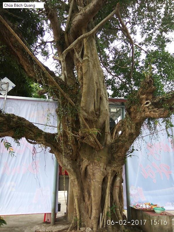 Chùa Bách Quang