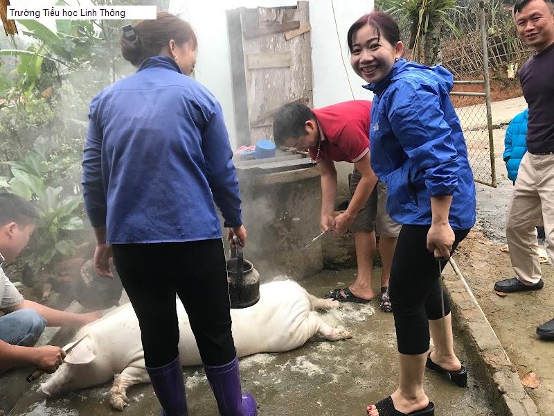 Trường Tiểu học Linh Thông