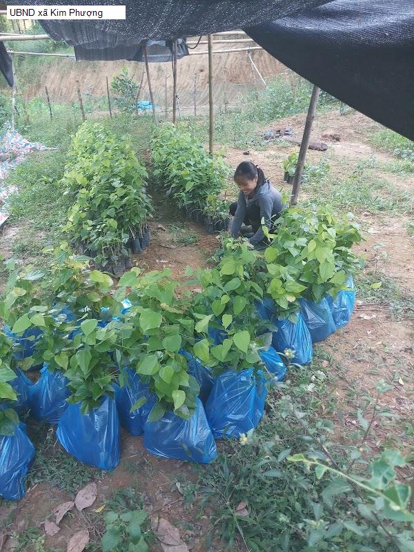 UBND xã Kim Phượng
