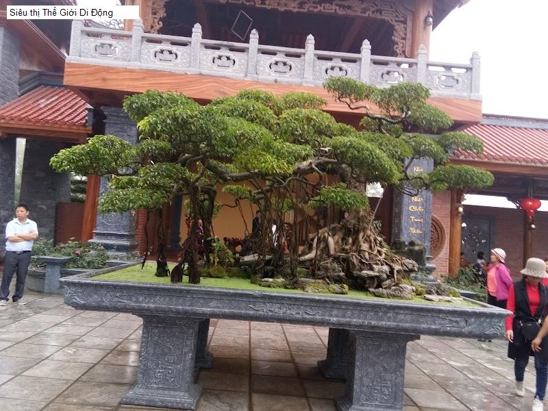 Siêu thị Thế Giới Di Động