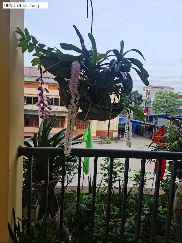 UBND xã Tân Long