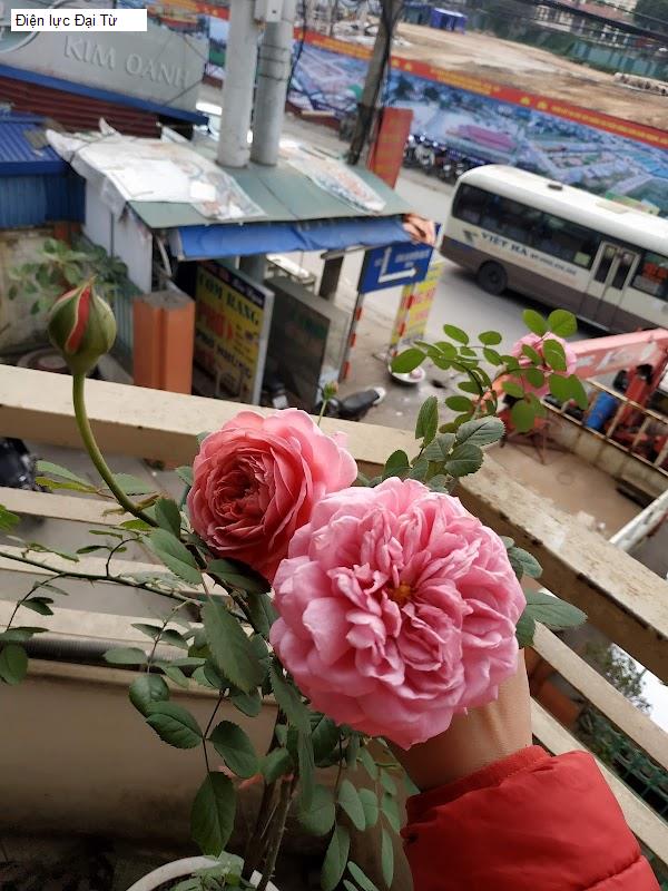 Điện lực Đại Từ