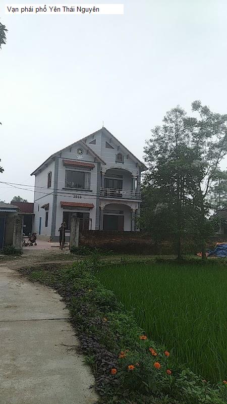 Vạn phái phổ Yên Thái Nguyên